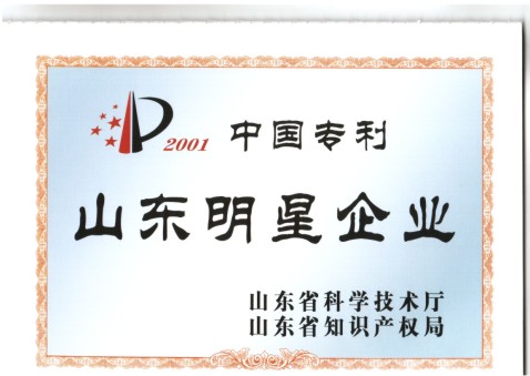 山东明星企业
